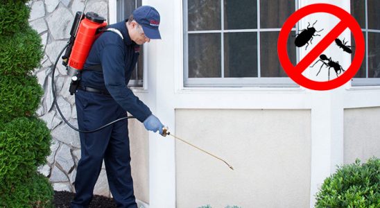 Maçka Dezenfeksiyon böcek ilaçlama ve haşere kontrolü — ilaclama-tr.com